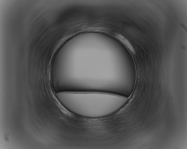 X0000093391436200710111340