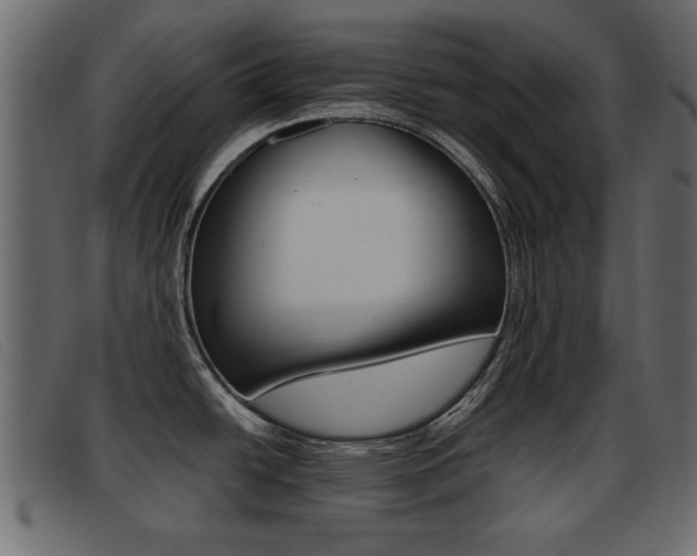 X0000093391438200710111340