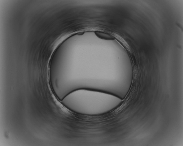X0000093391439200710111340