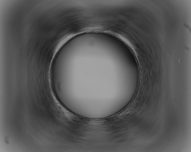 X0000093391440200710111340