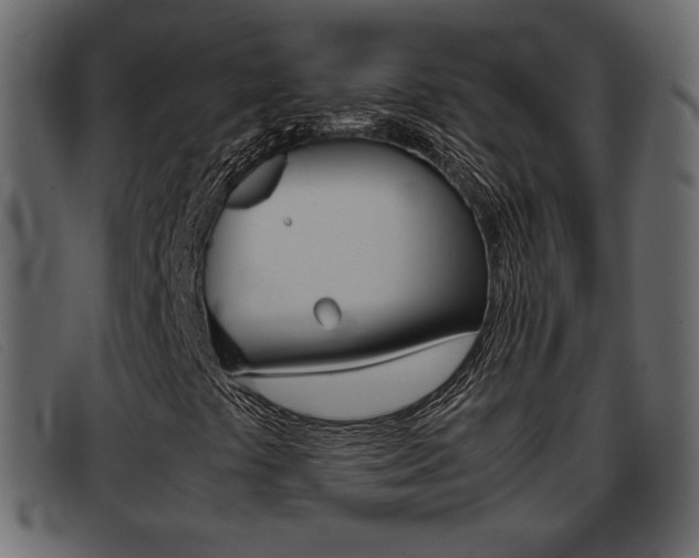 X0000093391441200710111339