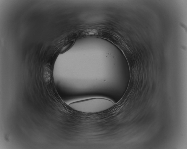 X0000093391442200710111339