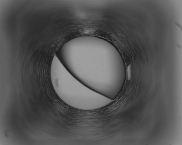 X0000093391443200710111339