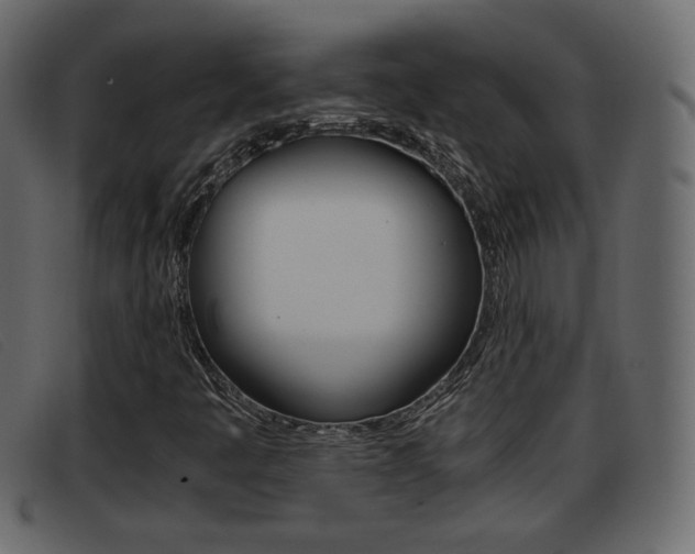 X0000093391445200710111339