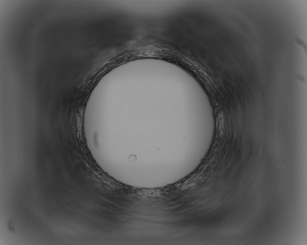 X0000093391446200710111339