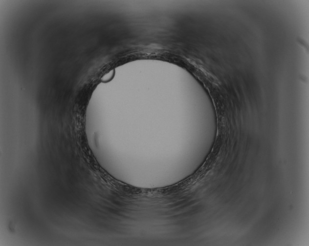 X0000093391447200710111339