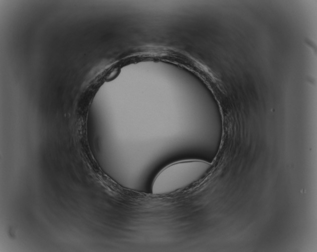 X0000093391448200710111339