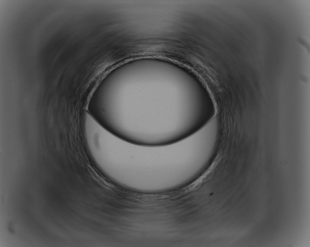 X0000093391449200710111339