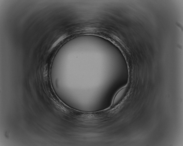 X0000093391450200710111339
