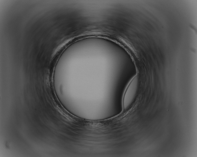 X0000093391452200710111339