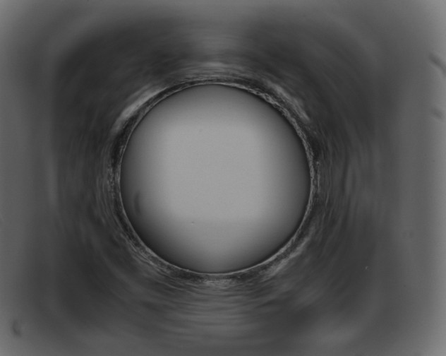 X0000093391453200710111339