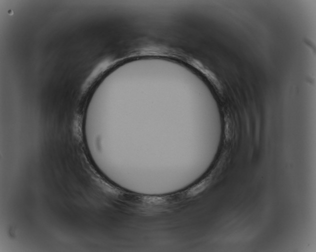 X0000093391454200710111339
