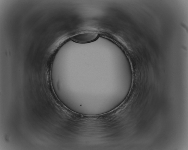 X0000093391455200710111339