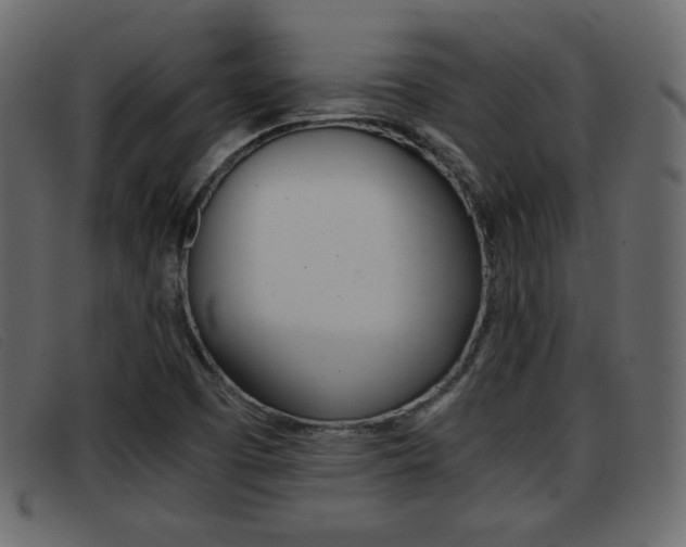 X0000093391457200710111339