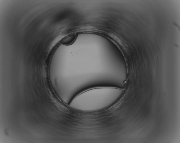 X0000093391458200710111339
