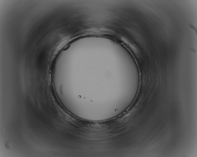 X0000093391459200710111339