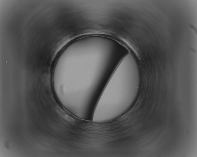X0000093391460200710111339