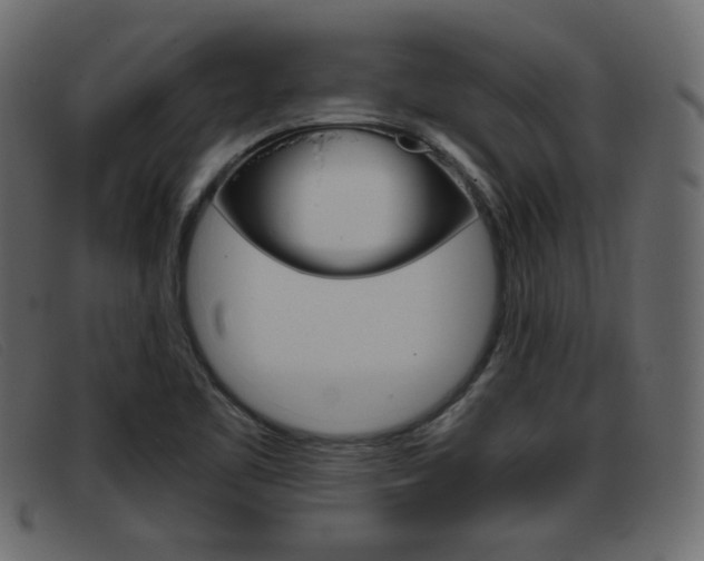 X0000093391461200710111339