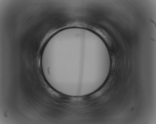X0000093391462200710111339
