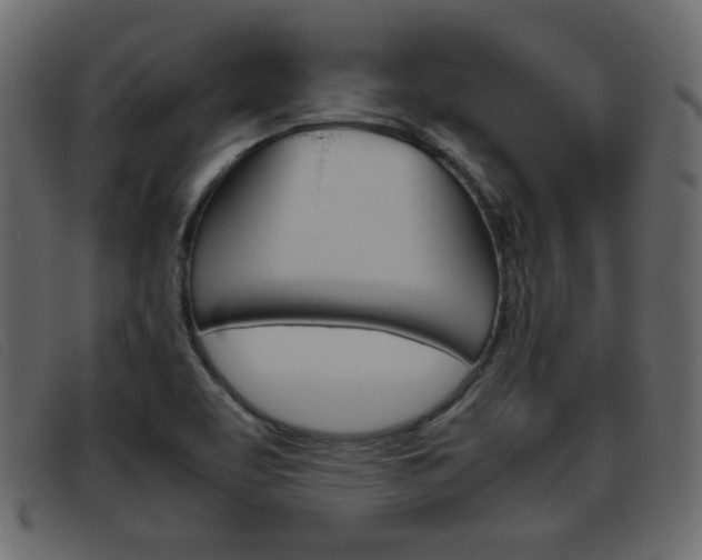 X0000093391463200710111339