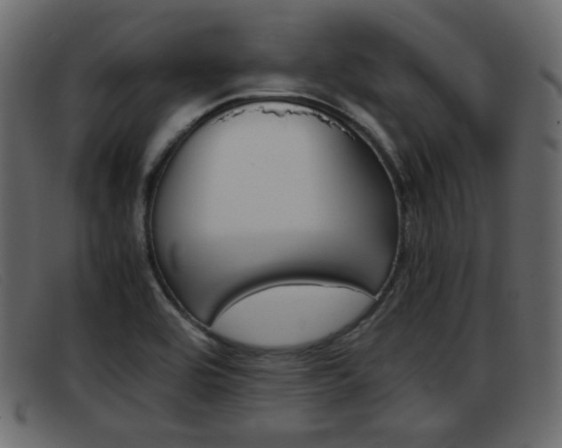 X0000093391464200710111339