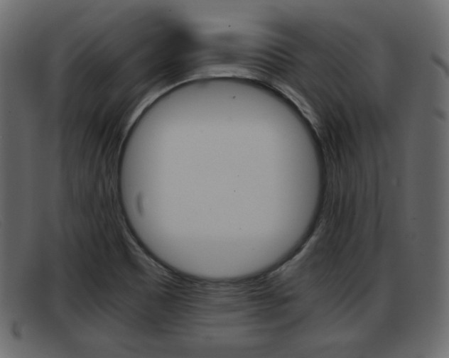 X0000093391465200710111339