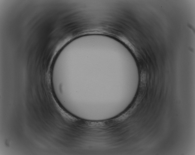 X0000093391466200710111339