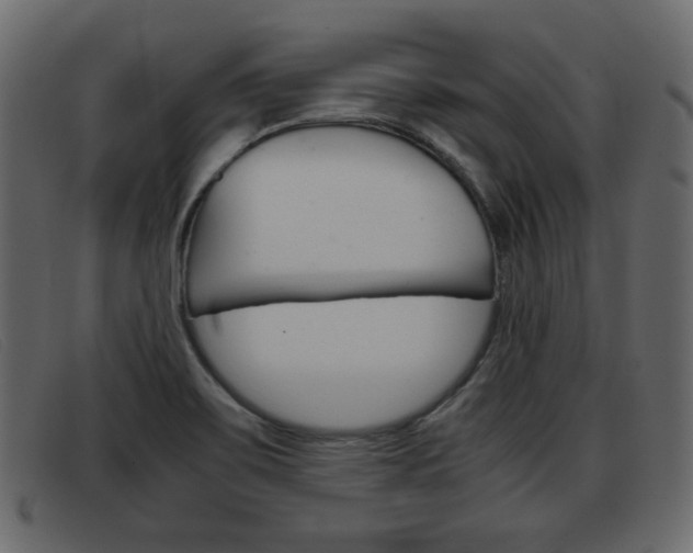 X0000093391467200710111339