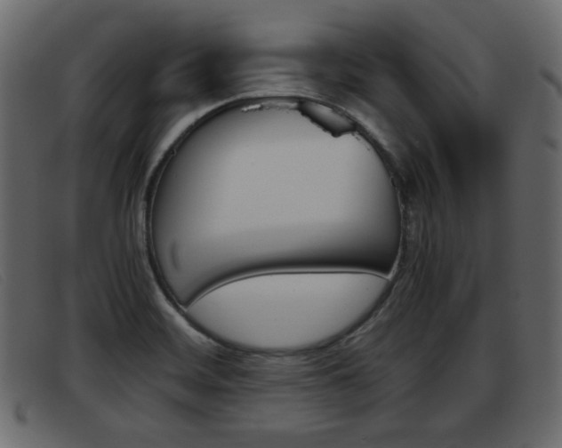 X0000093391468200710111339