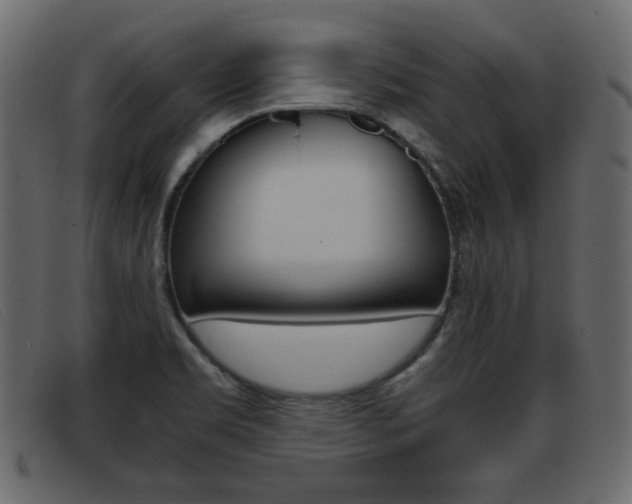 X0000093391469200710111339