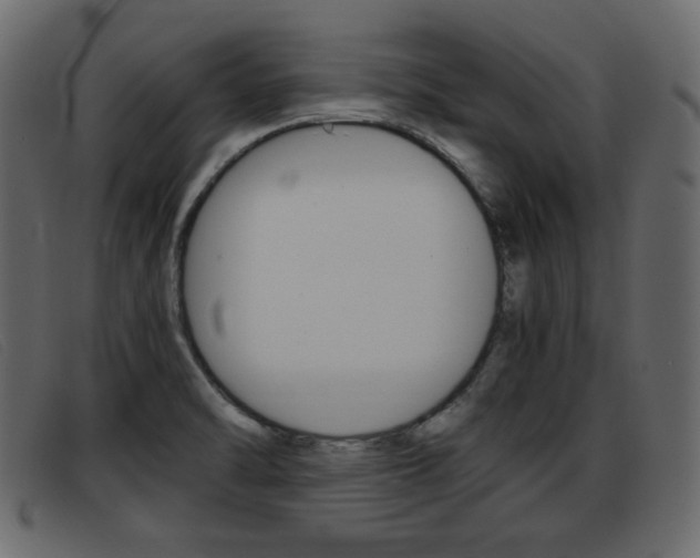 X0000093391470200710111339