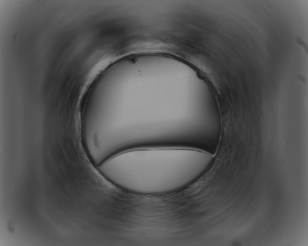 X0000093391472200710111339