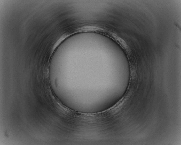 X0000093391473200710111339