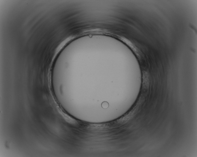 X0000093391474200710111339