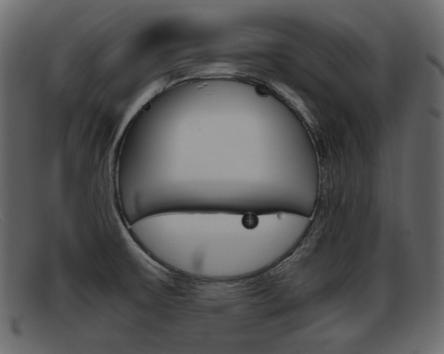 X0000093391475200710111339