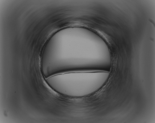 X0000093391476200710111339