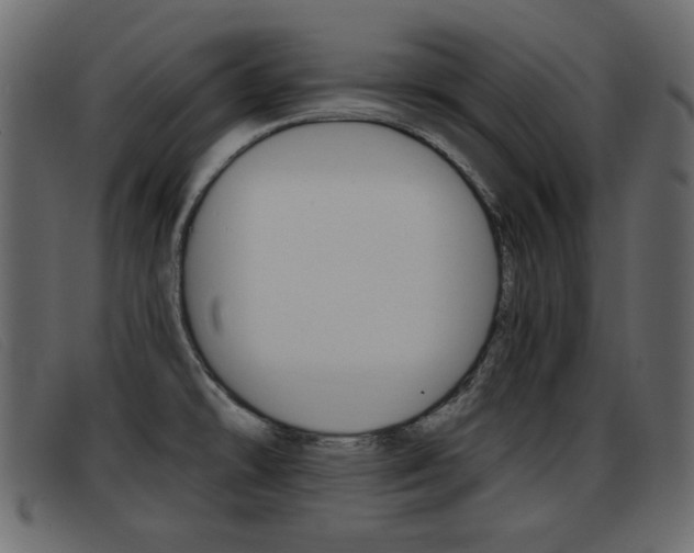 X0000093391478200710111339