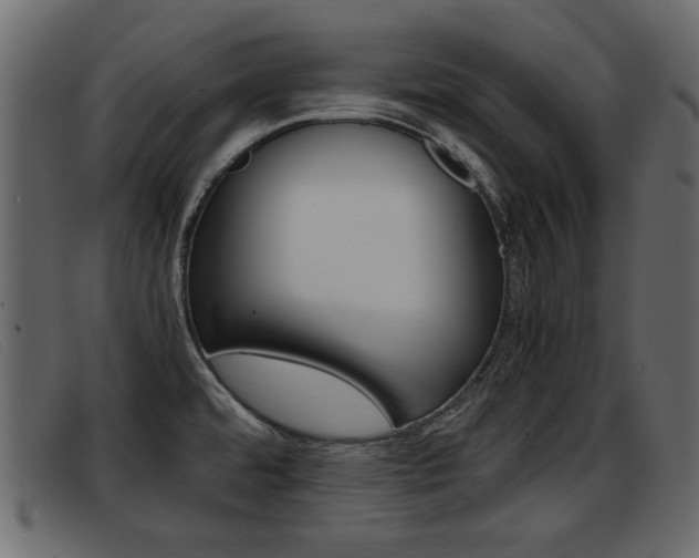 X0000093391480200710111339