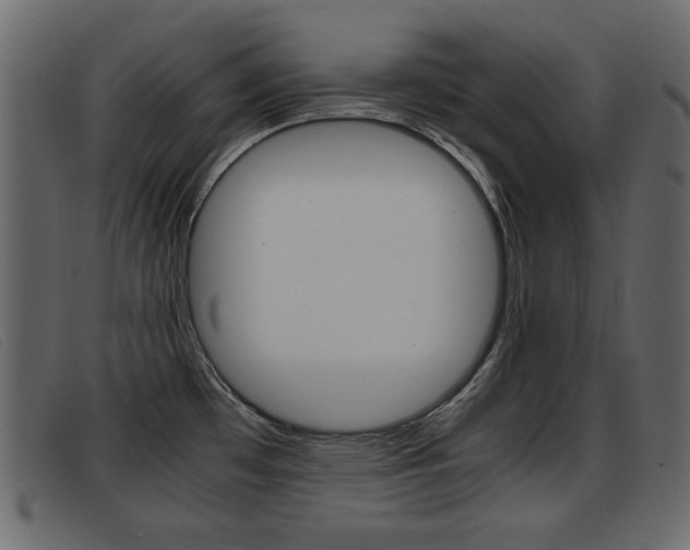 X0000093391481200710111339