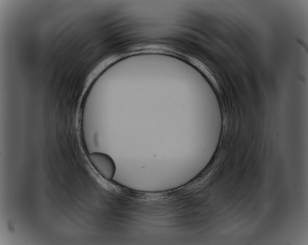 X0000093391482200710111339