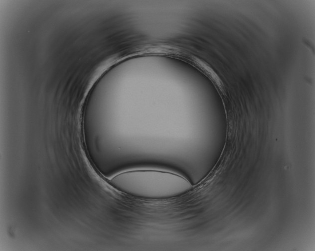 X0000093391483200710111339