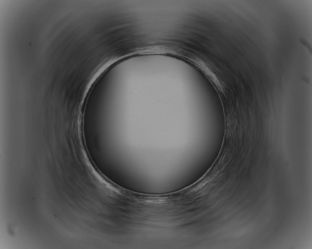 X0000093391484200710111339