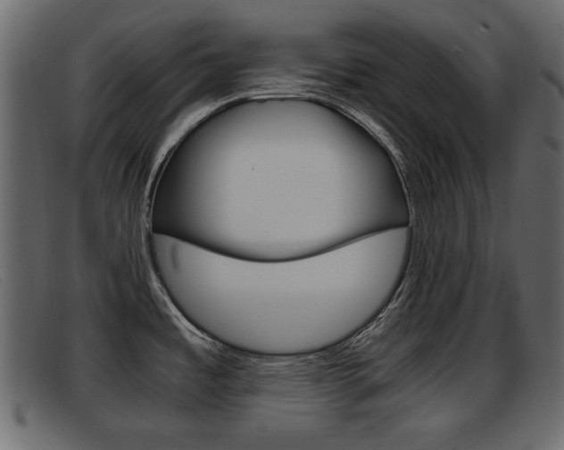 X0000093391485200710111339