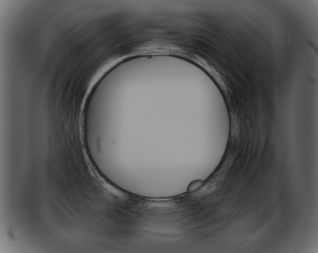 X0000093391486200710111339