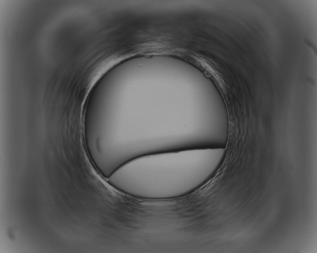 X0000093391487200710111339
