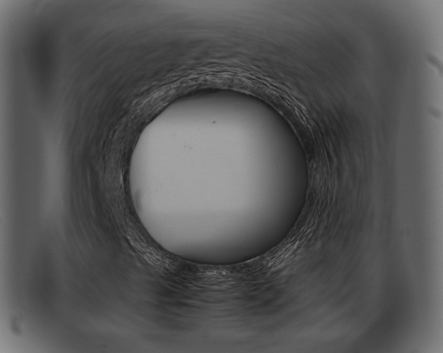 X0000093391489200710111338
