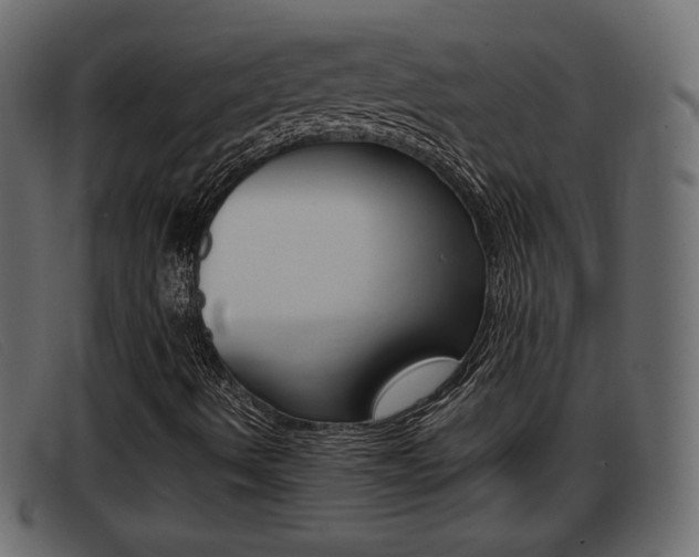 X0000093391490200710111338