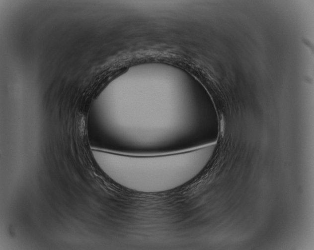 X0000093391492200710111338