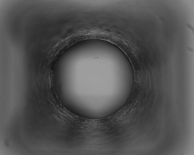 X0000093391493200710111338