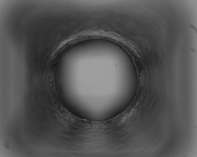 X0000093391494200710111338
